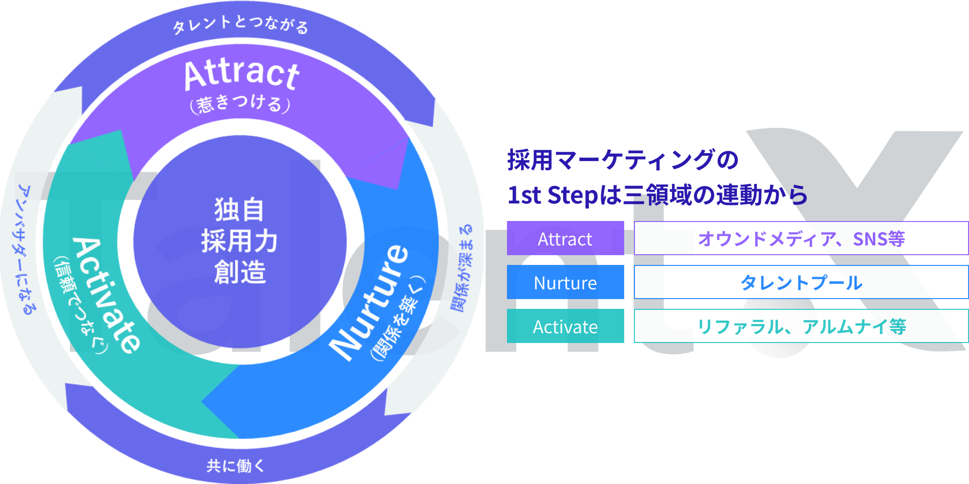 採用マーケティングの1st Stepは三領域の連動から