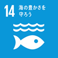 SDGs17の目標：14.海の豊かさを守ろう